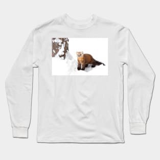 Pine Marten - Algonquin Park Long Sleeve T-Shirt